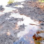 Oil Spillage: Two Nigerian communities secure major legal victory against Shell in UK